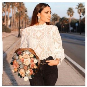 Zara blouse (2488) Rare Lace Blogger Favorite